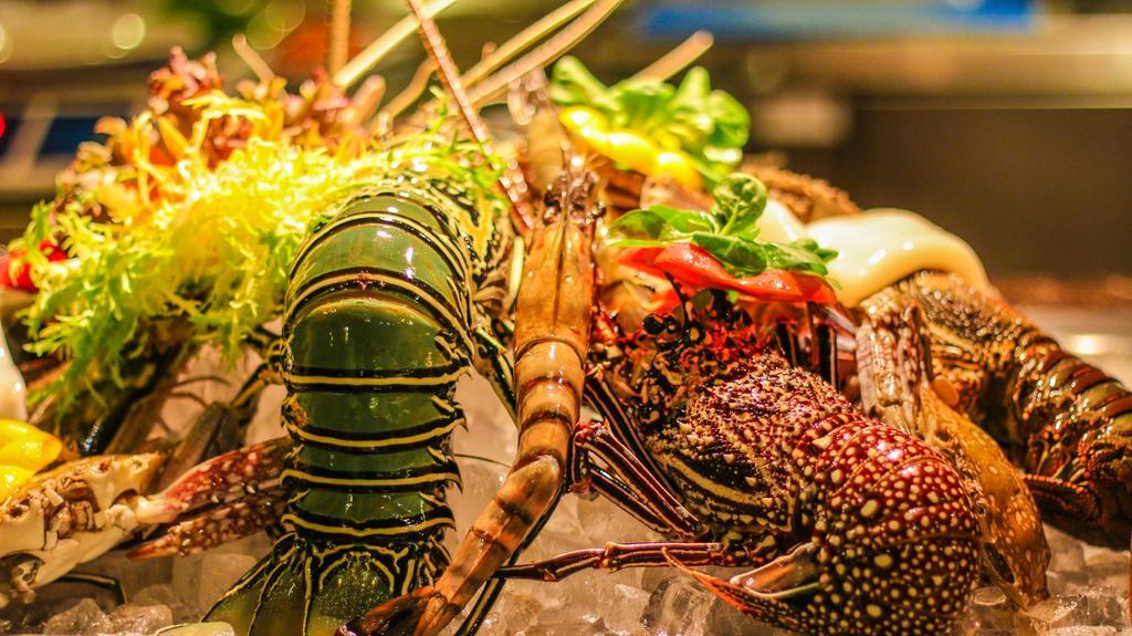 바카루팔히 아일랜드 리조트 앤 스파 당게티 외부 사진